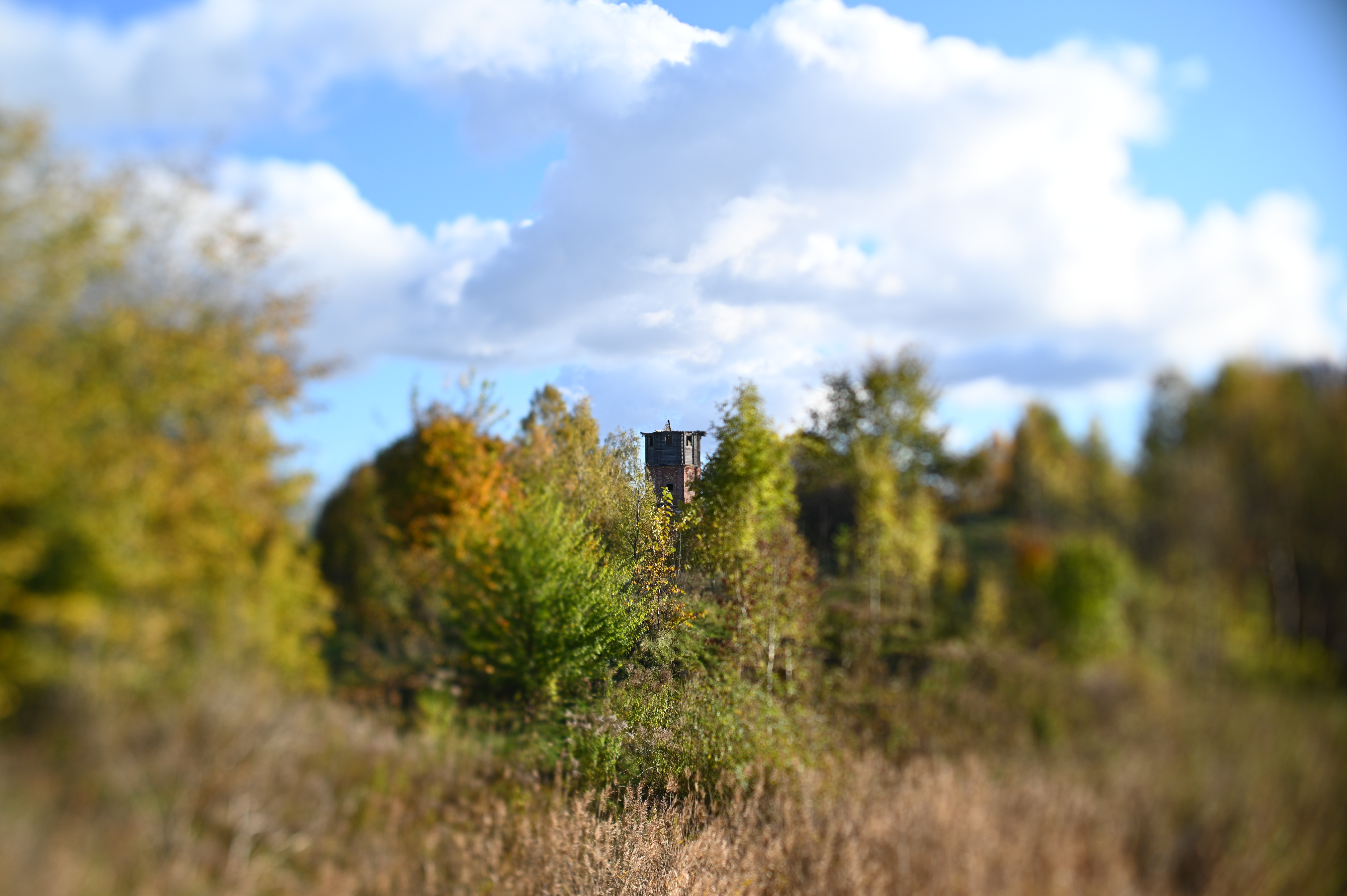 2025/10/18 - walk/DSC_0063.JPG